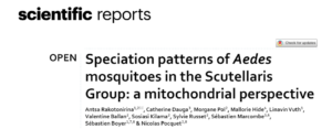 The Evolution of Aedes Mosquitoes in the Scutellaris Group